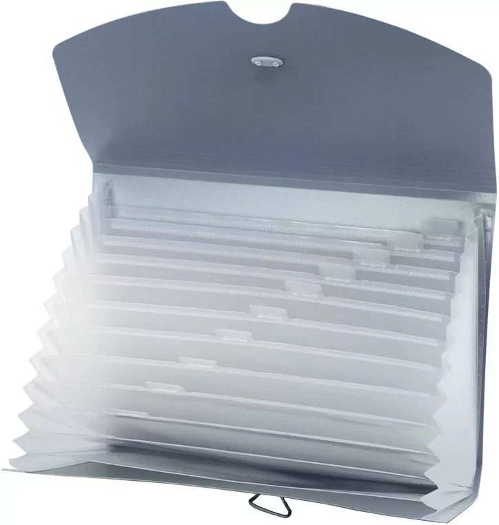 Teczka harmonijkowa A4 PP grafit morandi - tantis.pl