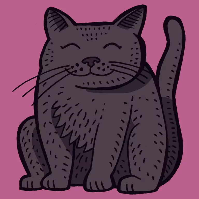 Jeden dzień - tantis.pl