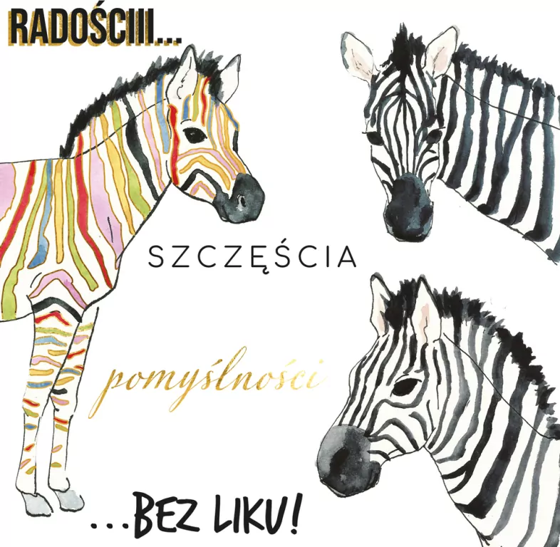 Karnet KW Zebry - tantis.pl