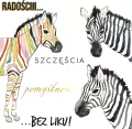 Karnet KW Zebry - tantis.pl