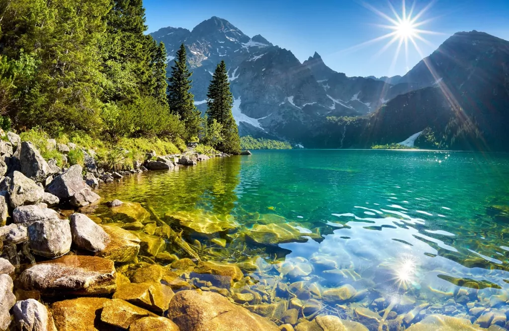 Kalendarz 2026 trójdzielny Sosenka - tantis.pl