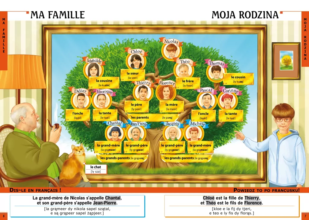 Ilustrowany słownik francusko-polski - tantis.pl