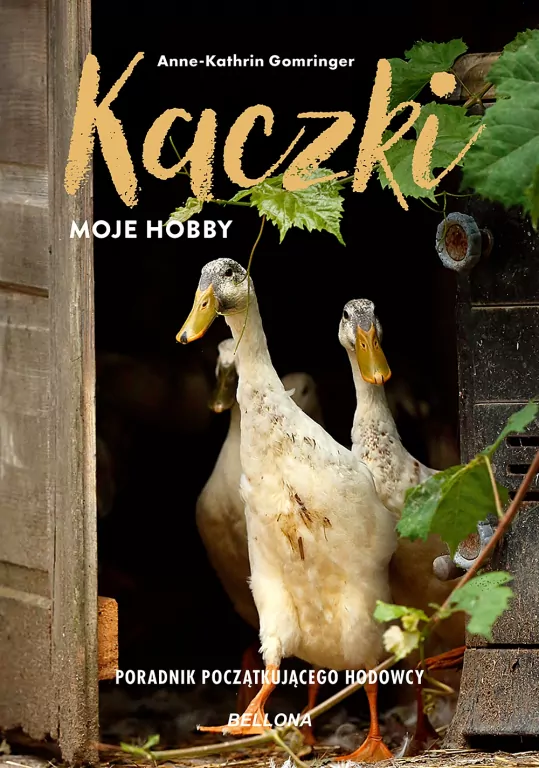 Kaczki - moje hobby - tantis.pl