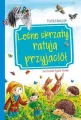 Leśne skrzaty ratują przyjaciół - tantis.pl