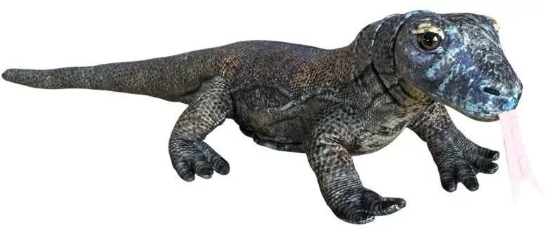 Waran z Komodo 70cm - tantis.pl