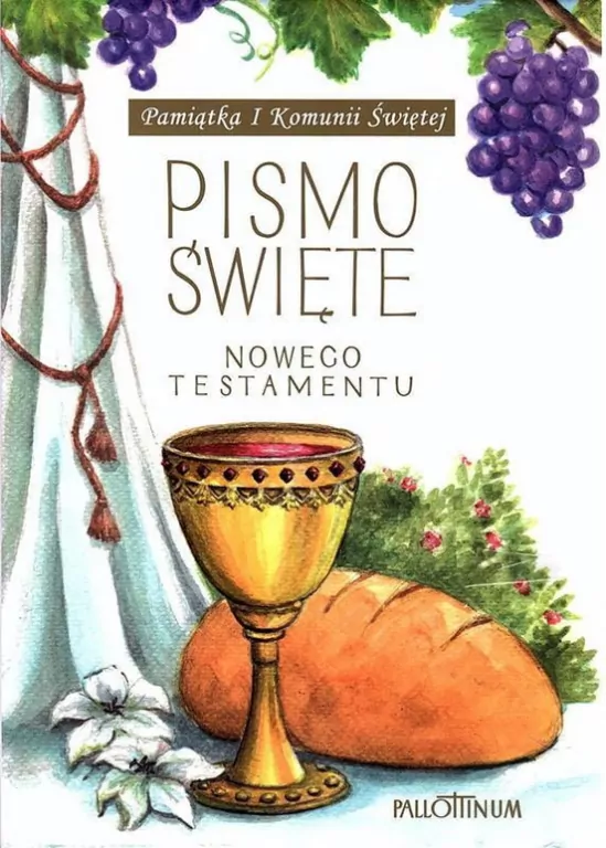 Pismo Święte Nowego Testamentu. Duży format - tantis.pl