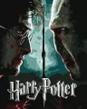 Malowanie po numerach - Harry i Voldemort metal - tantis.pl