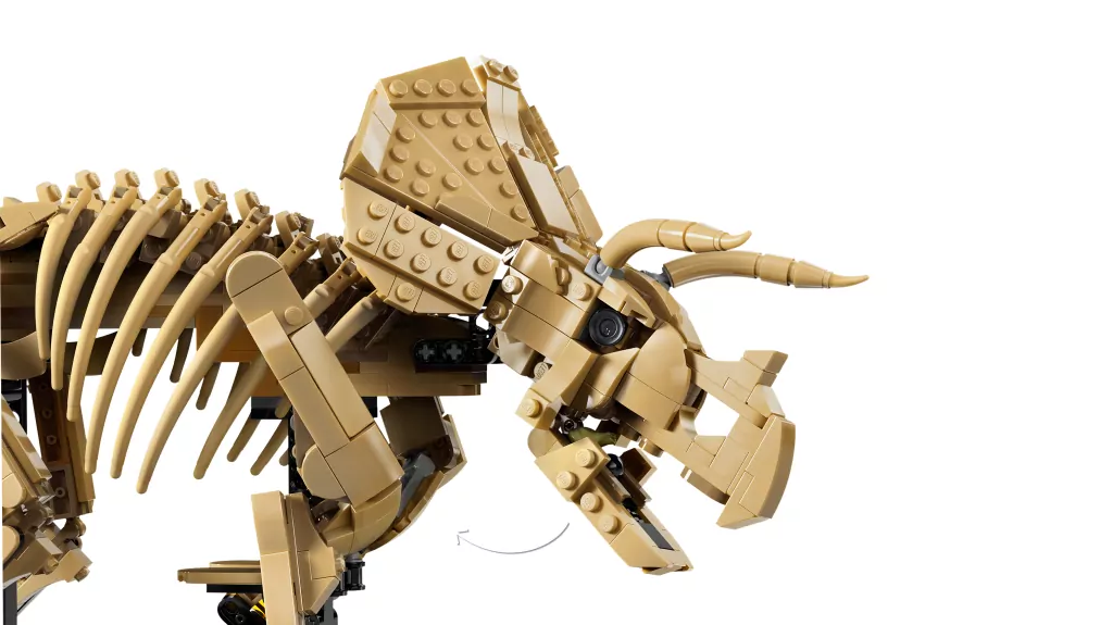LEGO® Szkielety dinozaurów: triceratops 77985 - tantis.pl