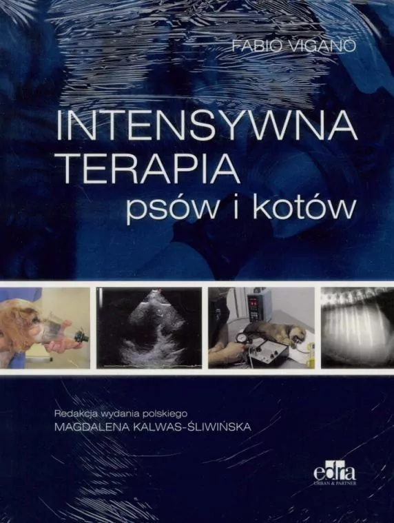 Intensywna terapia psów i kotów - tantis.pl