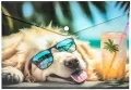Koperta A4 PP na napę z nadrukiem Chillout Dog - tantis.pl
