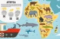 Mój pierwszy atlas zwierząt - tantis.pl