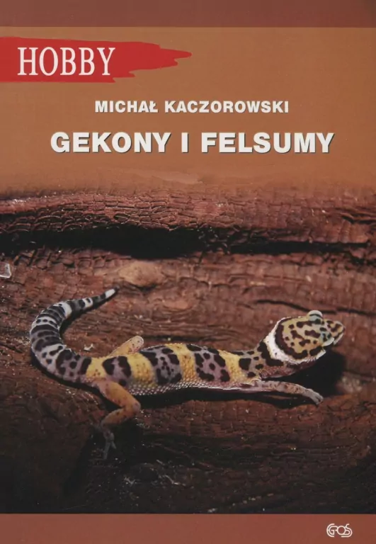 Gekony I Felsumy - tantis.pl