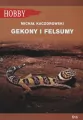 Gekony I Felsumy - tantis.pl