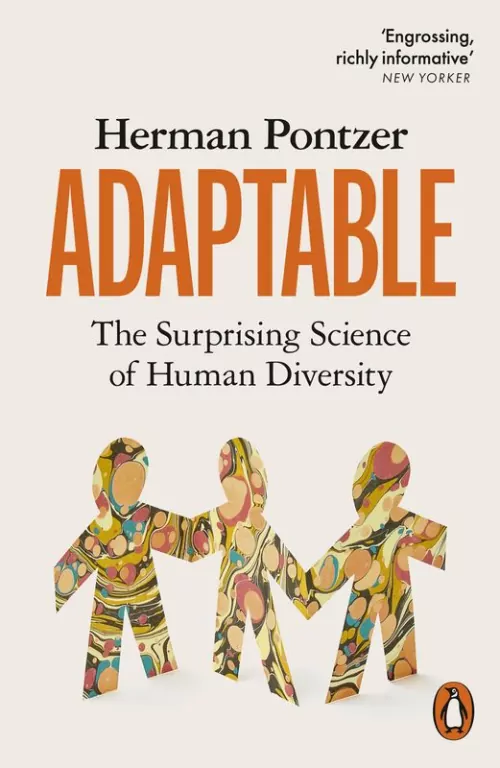 Adaptable - tantis.pl