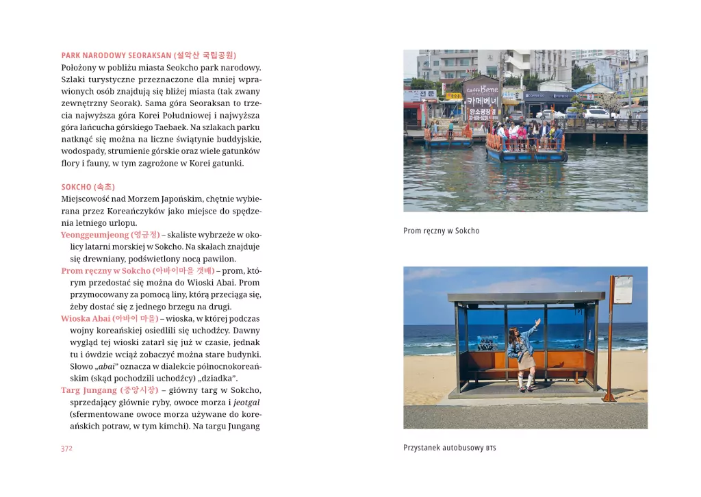 Polka w Korei. Jak się żyje w kraju K-popu, kimchi i Samsunga - tantis.pl