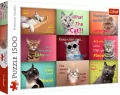 Puzzle 1500. Zabawne kocie portrety - tantis.pl