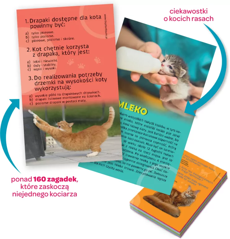 Quiz. Koty. Kapitan nauka - tantis.pl