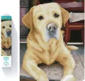 Diamond Dotz Adults King Portret labradora - tantis.pl