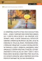 Jestem i działam. Jesień - tantis.pl