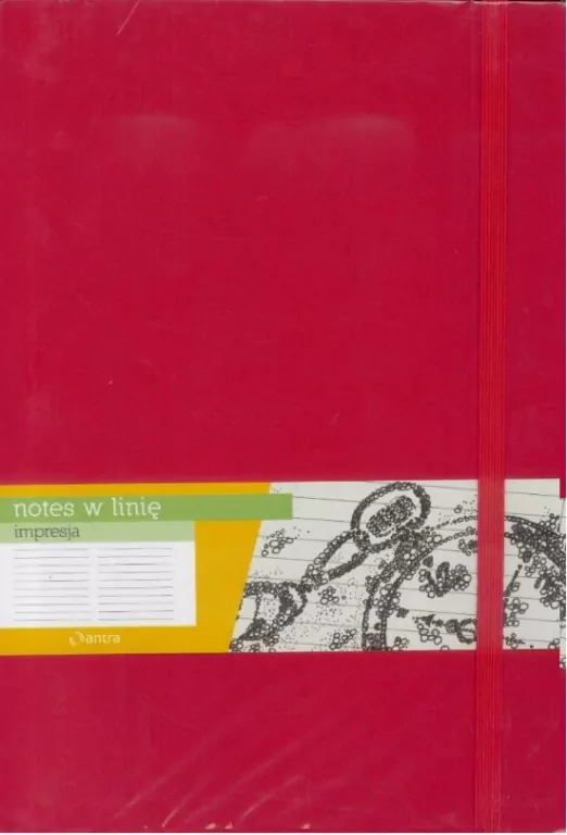 Notes B5 Linia Impresja Czerwony - tantis.pl