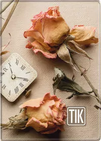Kalendarz 2026 Kieszonkowy TIK IMPRESS MIX - tantis.pl