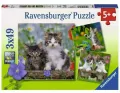 Ravensburger. Puzzle 3x49 elementów. Kocięta - tantis.pl