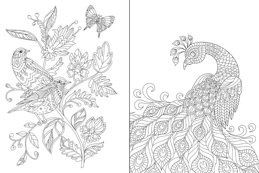 Розмальовка-антистрес.Творча насолода - tantis.pl