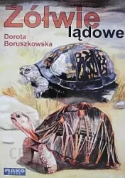 Żółwie lądowe
