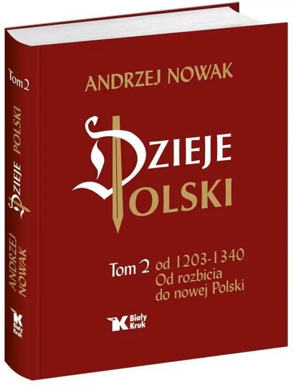 Dzieje Polski. Od 1203-1340. Od rozbicia do nowej Polski. Tom 2 - tantis.pl