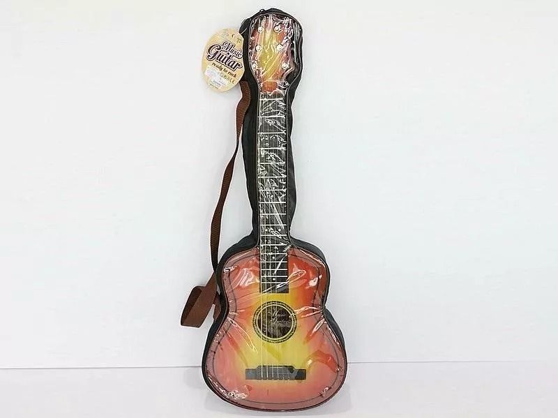 Gitara w pokrowcu - tantis.pl