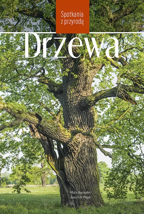 Drzewa. Spotkania z przyrodą - tantis.pl