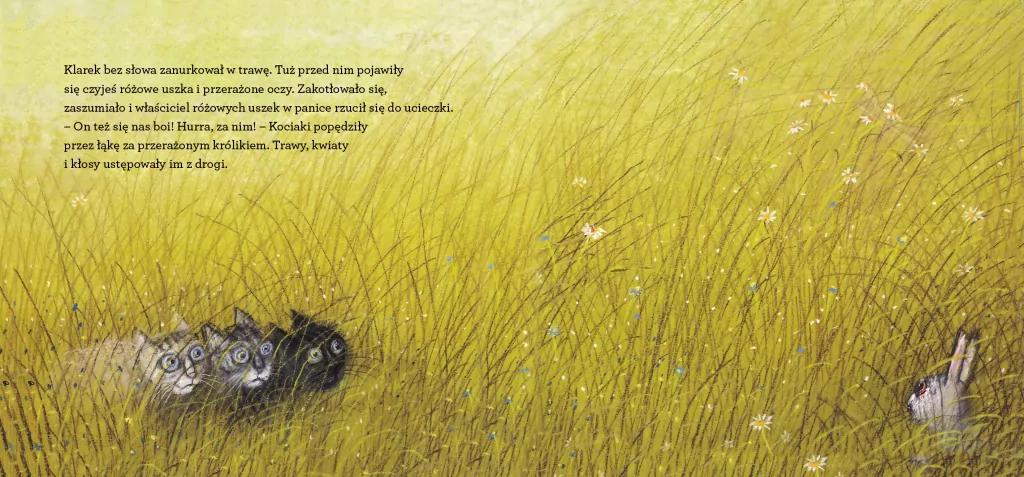 Kocie ścieżki - tantis.pl