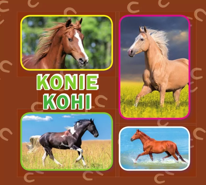 Konie - tantis.pl