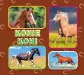 Konie - tantis.pl