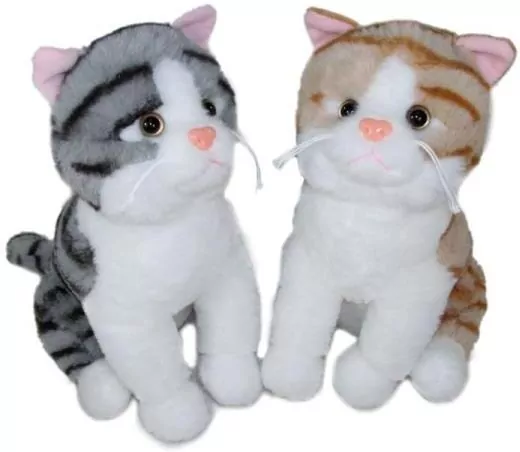 Kot 35cm MIX - tantis.pl