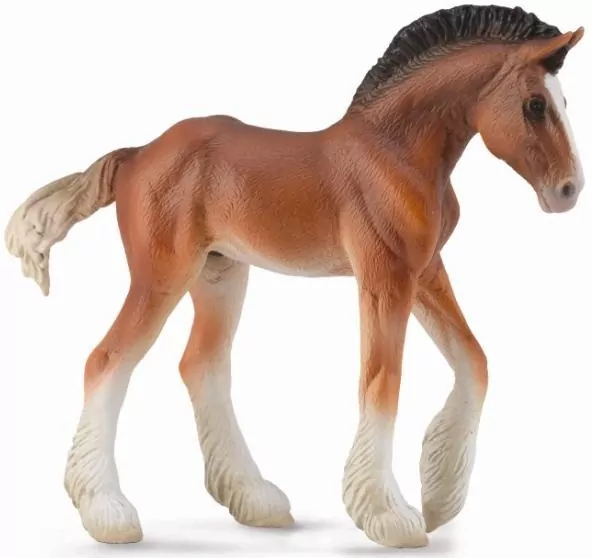 Źrebię Clydesdale Bay M - tantis.pl