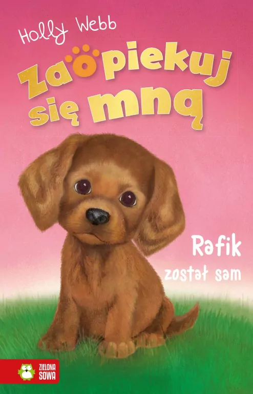 Rafik został sam. Zaopiekuj się mną - tantis.pl