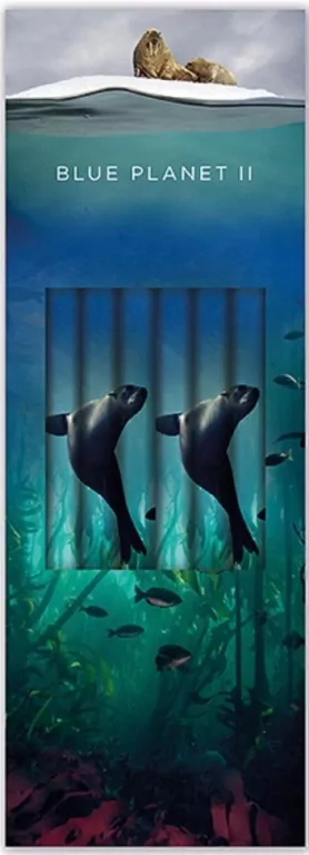 Ołówek ozdobny Sea Lion. 6 sztuk - tantis.pl