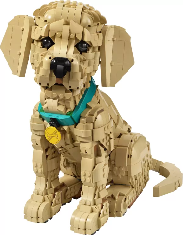 LEGO® Icons. Szczeniak golden retriever 11384 - tantis.pl