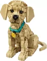 LEGO® Icons. Szczeniak golden retriever 11384 - tantis.pl