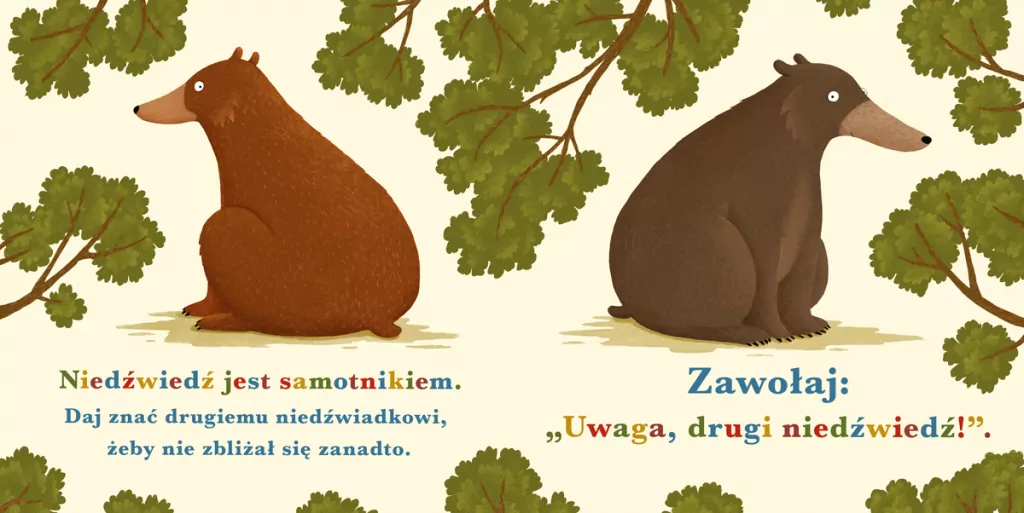 Niedźwiedź. Rok w lesie - tantis.pl