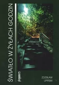 Światło w żyłach godzin - tantis.pl