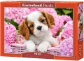 Puzzle 500. Pup in Pink Flowers. Szczeniak w różowych pąkach - tantis.pl
