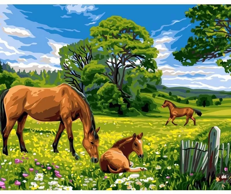 Malowanie po numerach 40x50cm Konie na łące - tantis.pl