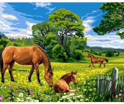Malowanie po numerach 40x50cm Konie na łące