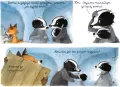 Malinka się boi. Mój pierwszy komiks 5+ - tantis.pl