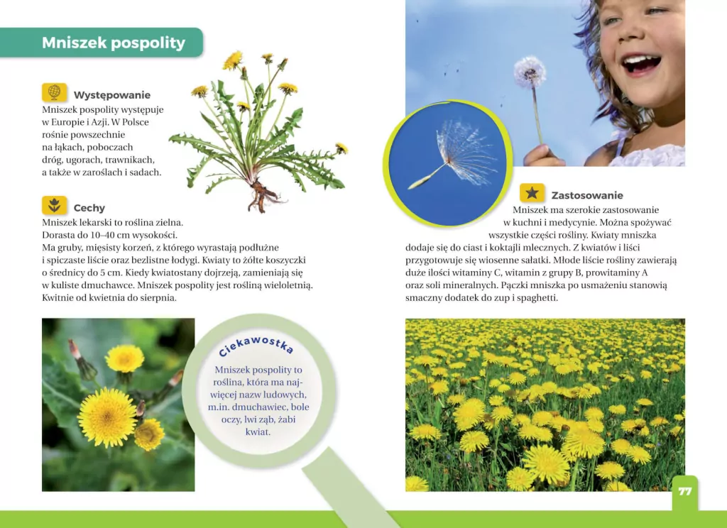 Jaki to kwiat? Atlas dla dzieci - tantis.pl