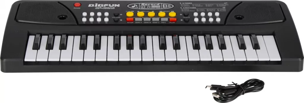 ORGANY B/O 44X17X6 MC PUD 36 - tantis.pl