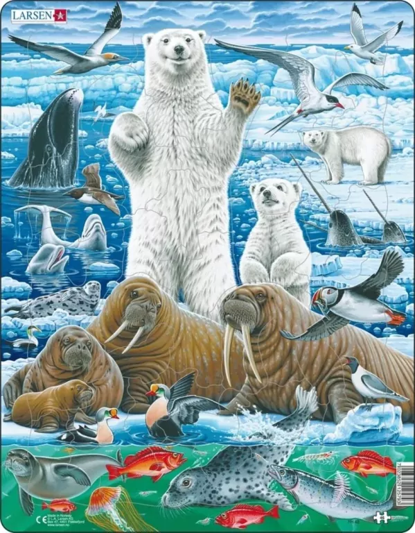 Larsen Polar Bear & Walrus - tantis.pl