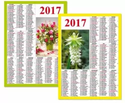 Kalendarz plakietka 2017 (SD12) Mix